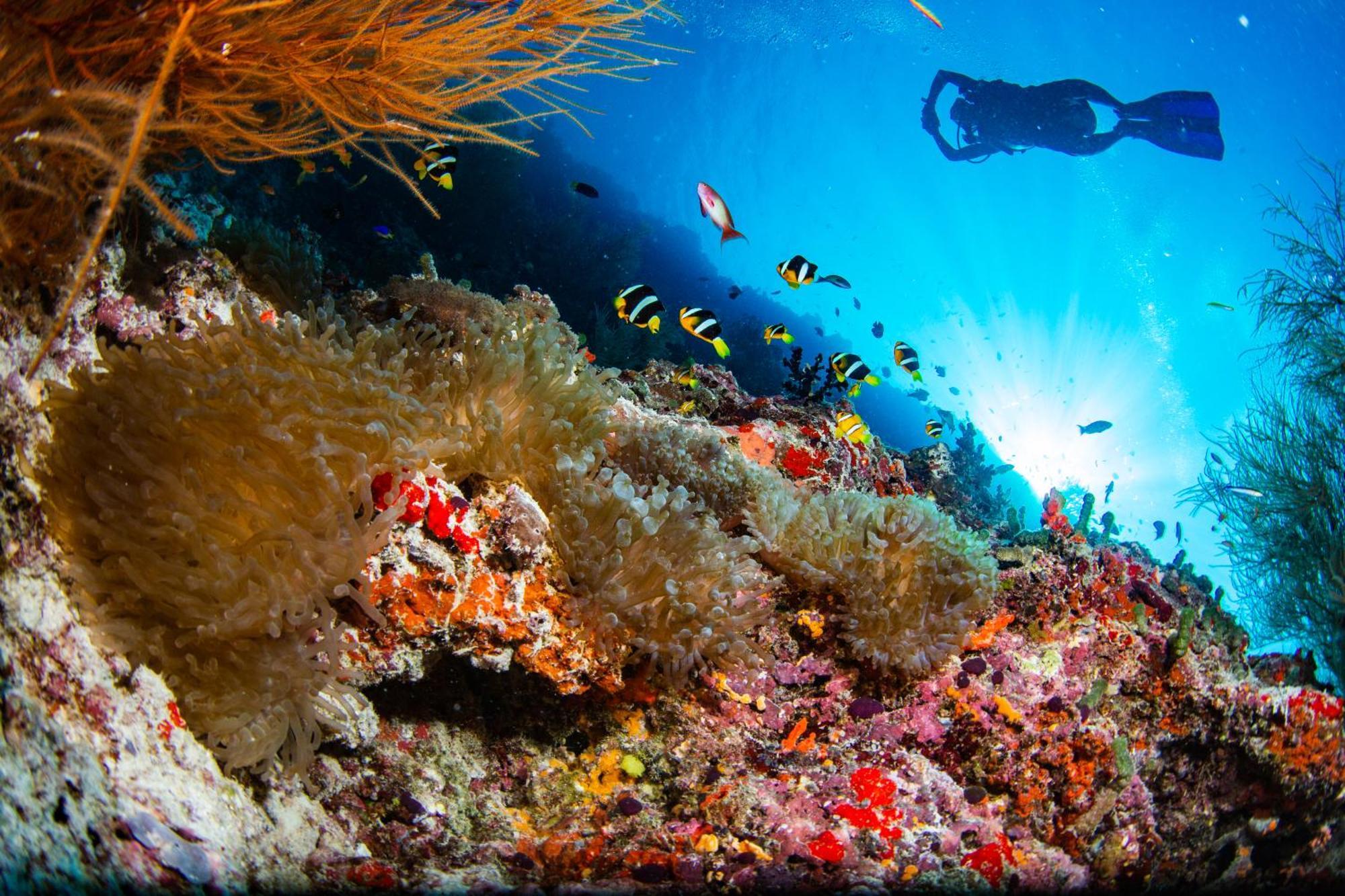 Noku Maldives, Vignette Collection By Ihg, 50 Percent Off Shared Roundtrip Seaplane Transport When You Stay 4 Nights Or More Stay Period Until 23 Dec 2025 (Adults Only) Kudafunafaru Eksteriør bilde